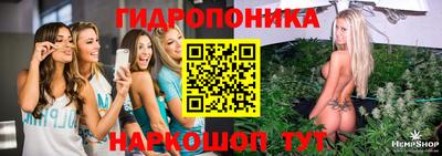 трава Лесосибирск