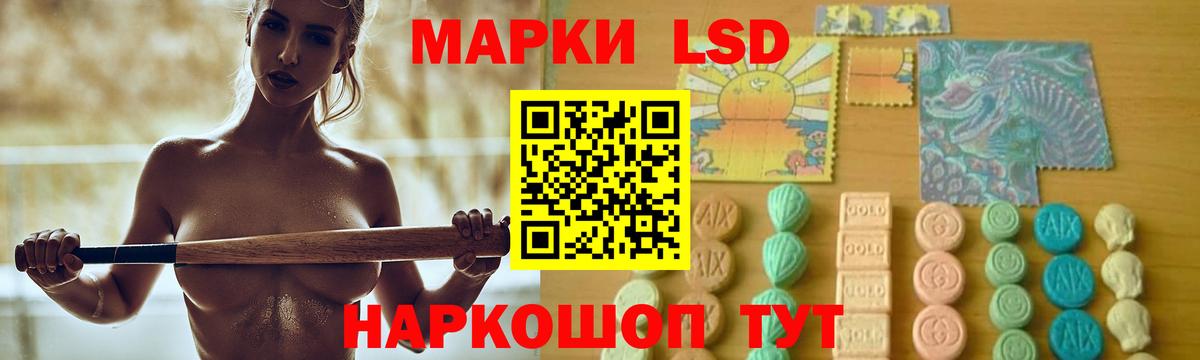мега ССЫЛКА  ЛСД экстази кислота  Вход с VPN  LSD-25 экстази  Камень-на-Оби  Лсд 25 экстази кислота 