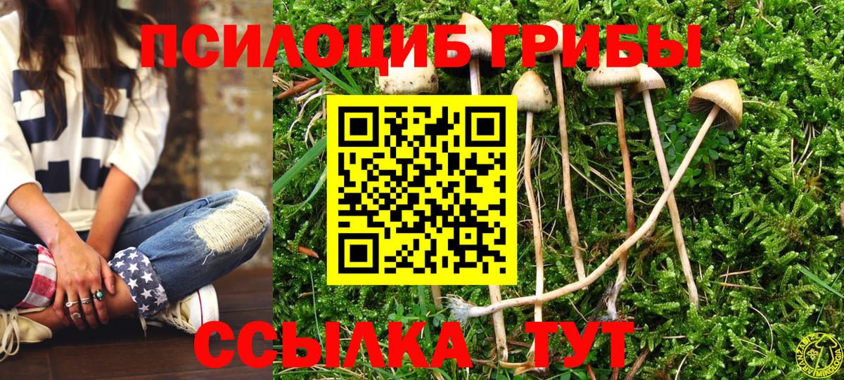 Псилоцибиновые грибы мицелий  Вход с VPN  Камень-на-Оби 